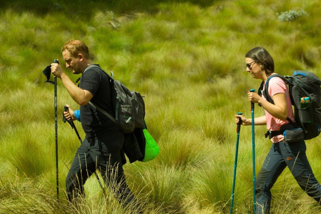 7 days machame route hiking