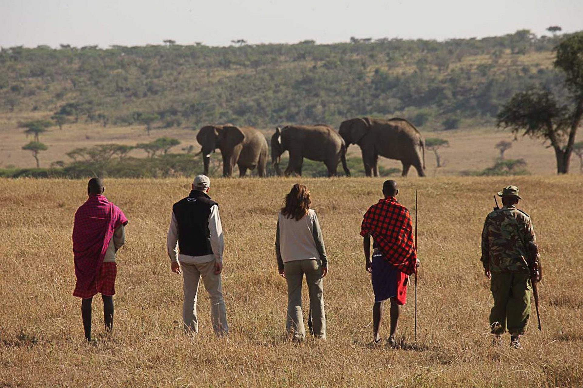  Tanzania mid range safaris 