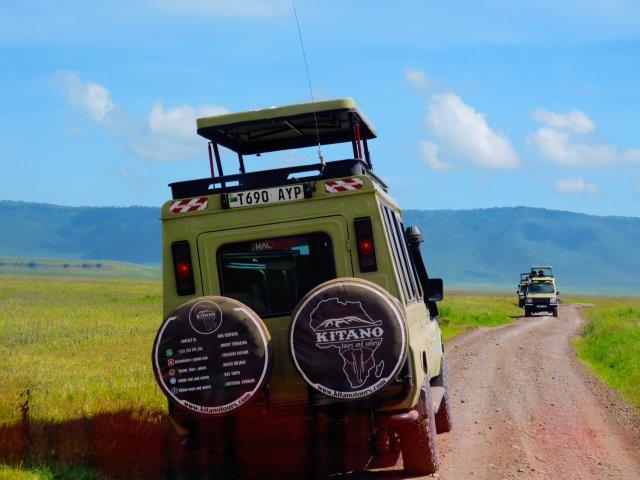 serengeti tanzania 6 days private safari