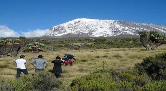 kilimanjaro hiking and treking