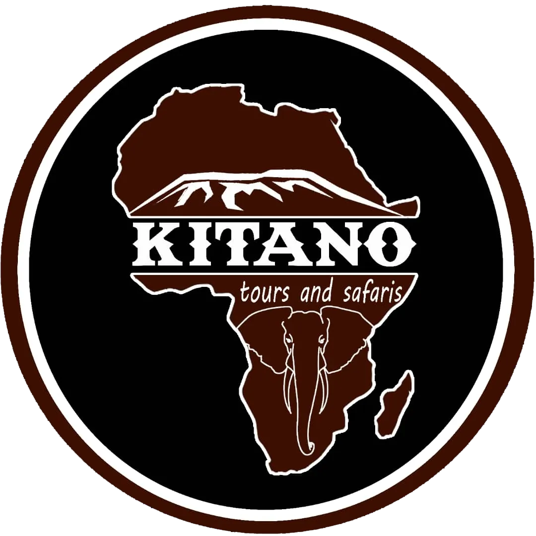 kitano tours and safari Kitano Tours Safaris
