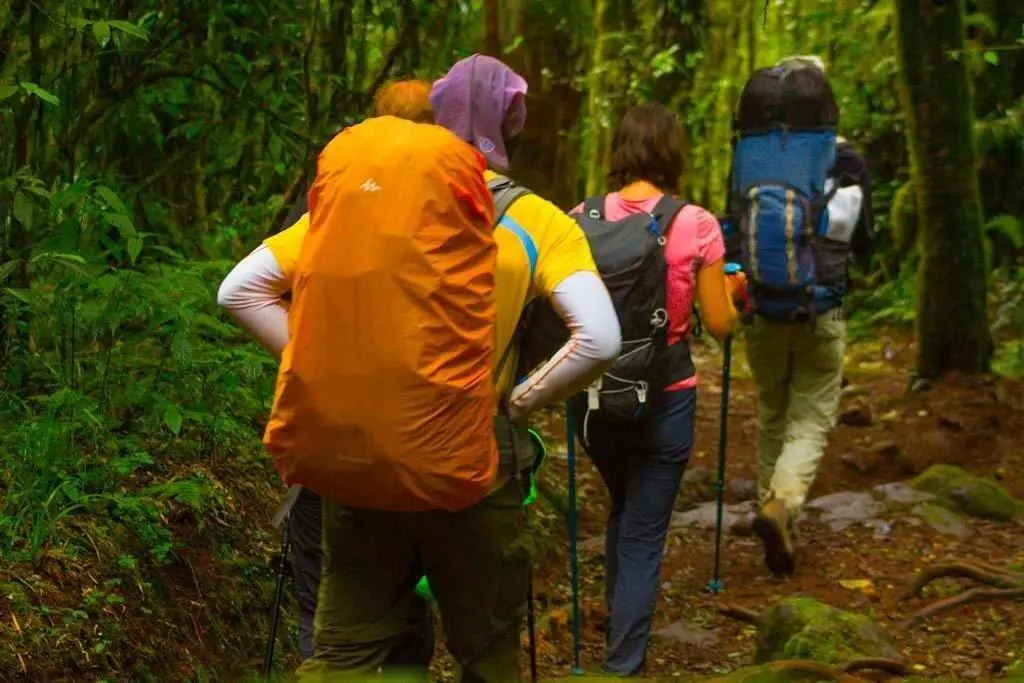 trek kilimanjaro in january