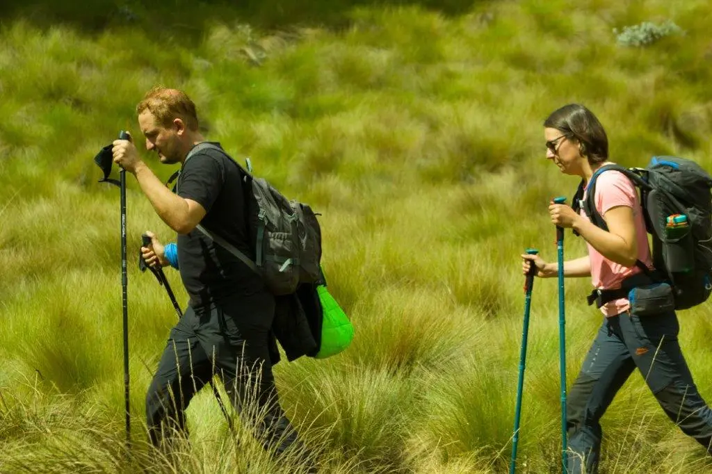 can beginner climb kilimanjaro