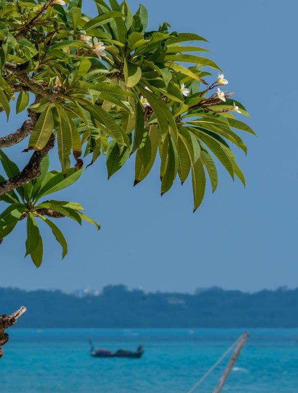 7 day zanzibar beach holiday