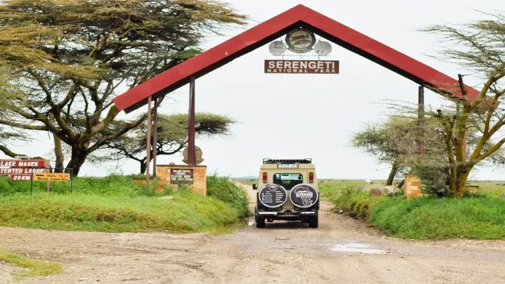 3 days serengeti migration safari 3 days Serengeti-migration safari