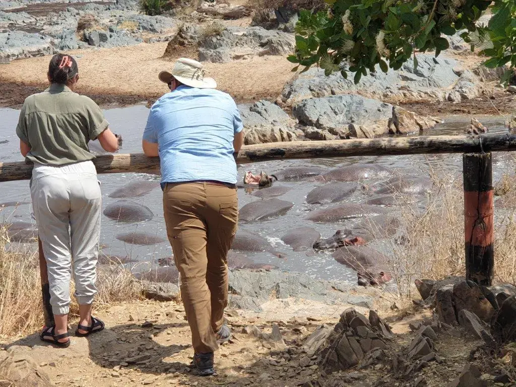 3 days selous game reserve nyerere 3 days selous game reserve nyerere