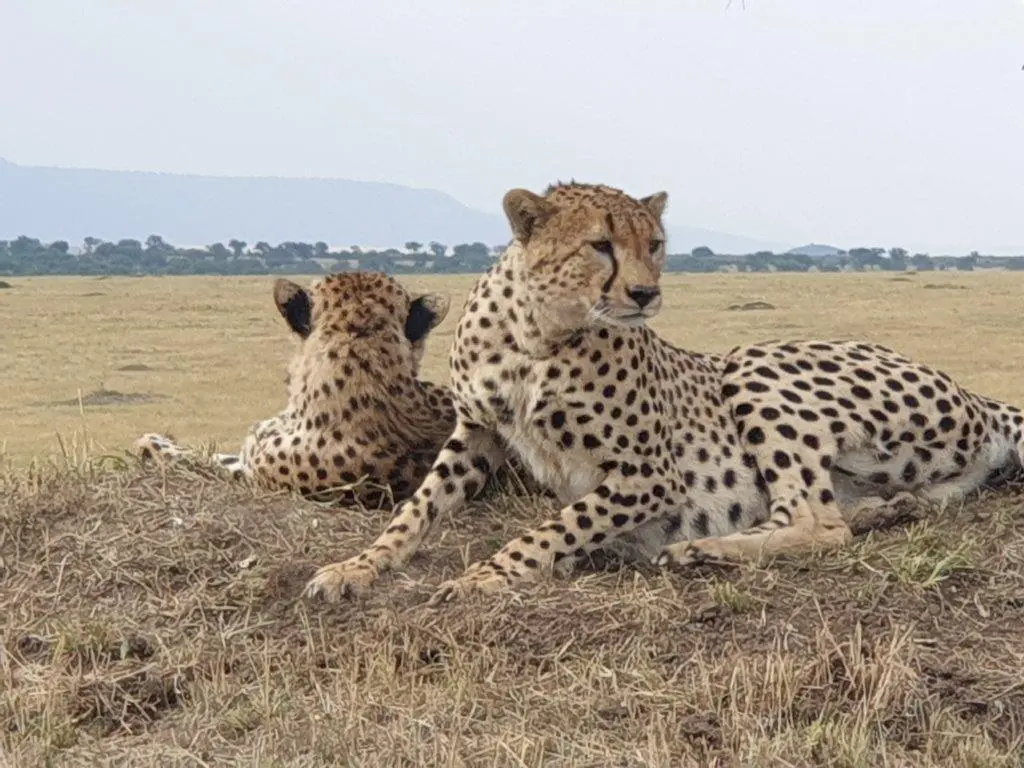 5 days masai mara itinerary