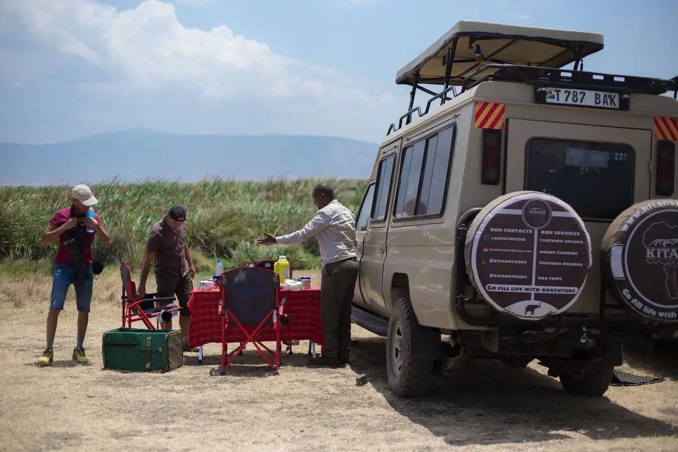 Wildebeest migration in Serengeti National Park