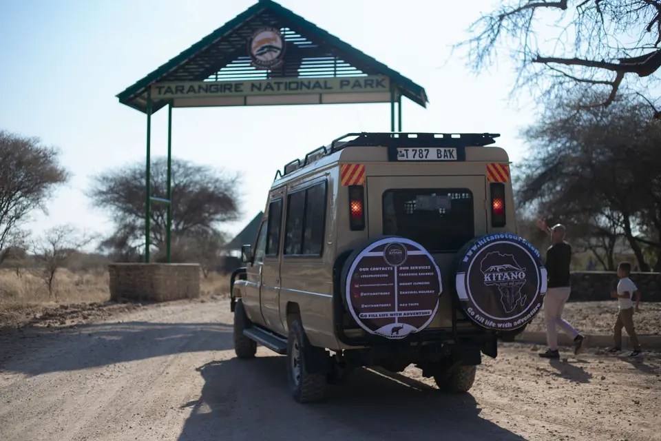 Ngorongoro Crater wildlife view