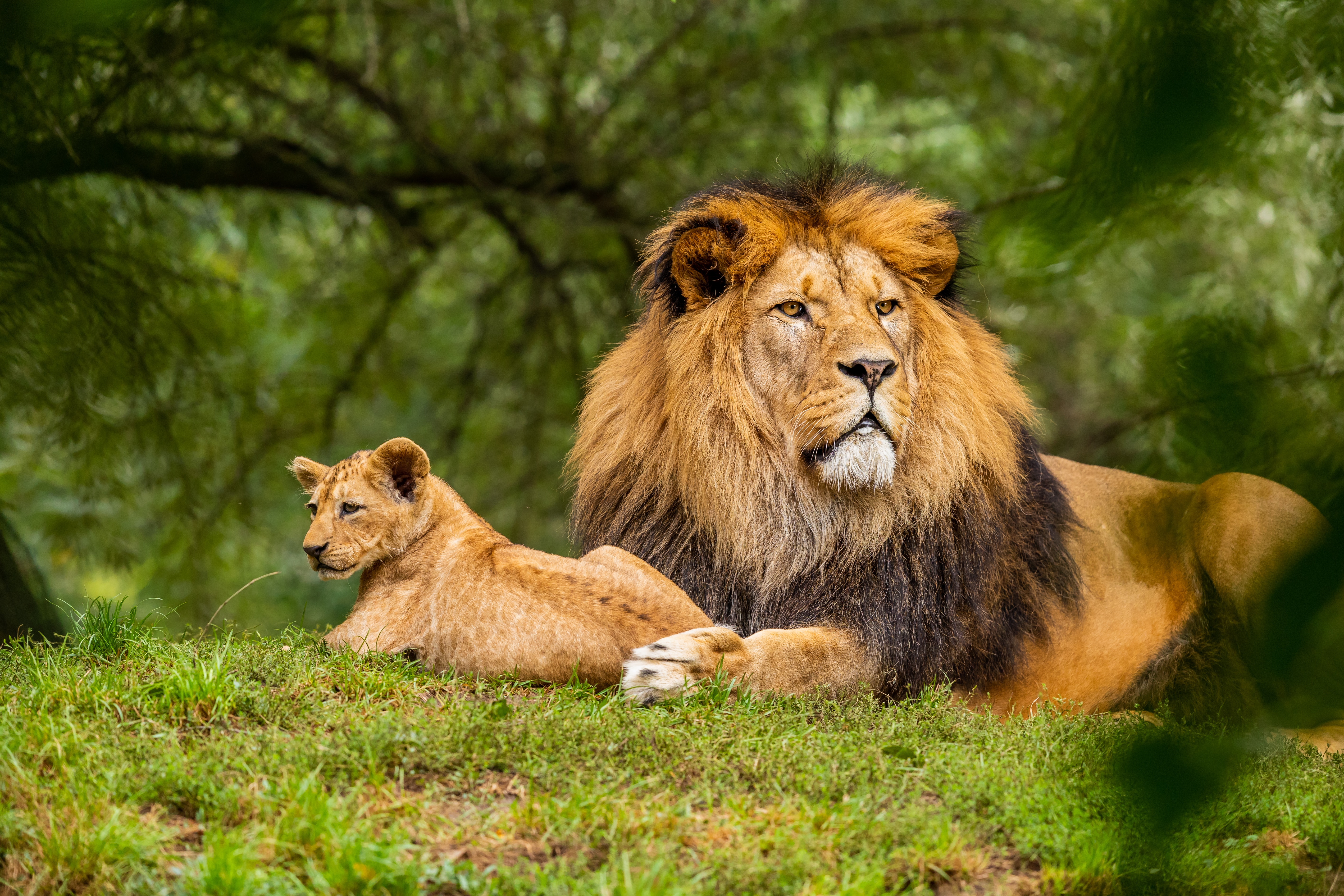 Arusha National Park