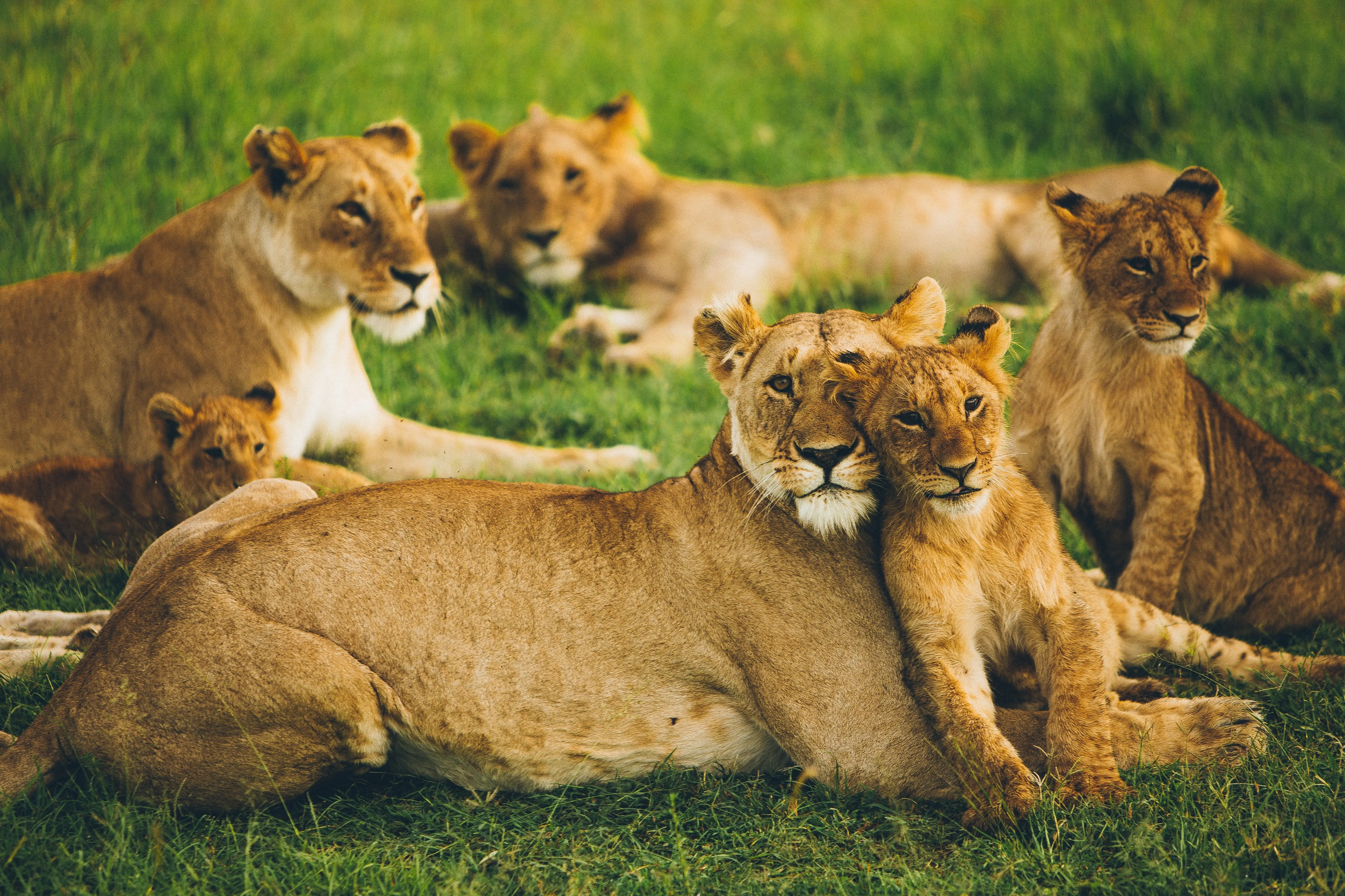 Arusha National Park