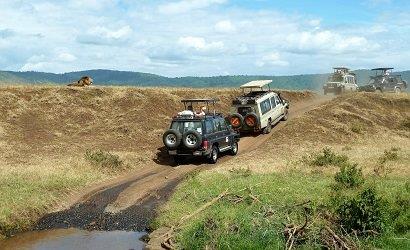 four days tanzania sharing safari