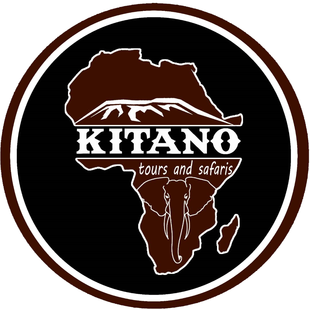 Kitano Tours And Safaris Kilimanjaro Climbing And Tanzani Safarai Tours Trekking And Hikes