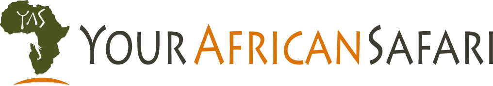 Your African Safari
