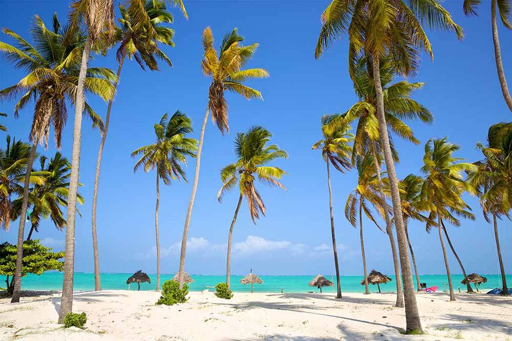 3 days 2 nights zanzibar beach holiday